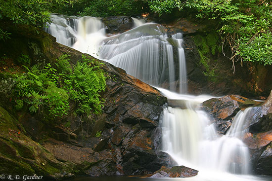 Cove Images