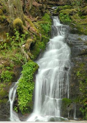 Unnamed Waterfall in GSMNP