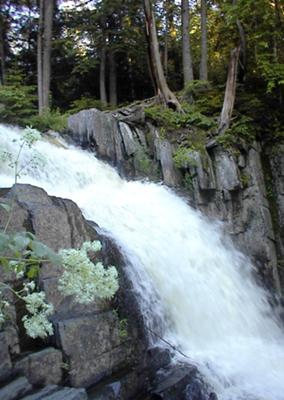 Upper Falls of Little Wilson in Maine