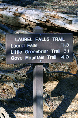 Sign for Laurel Falls Hike
