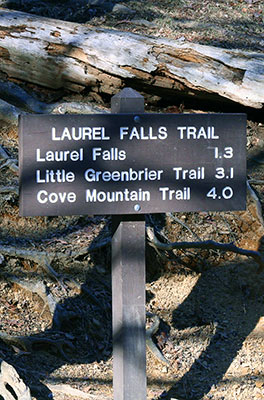 Sign for Laurel Falls Hike