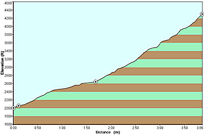 Elevation profile for Ramsay Cascades hike