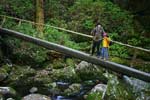 Creek crossing on the Ramsay Cascades Hike