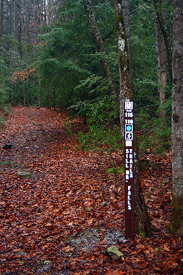 Sill Branch Falls hiking trail marker near the parking area