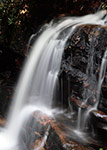 Closeup of Straight Branch Falls