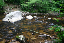 Crossing #2 to Dennis Cove Falls