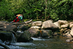 Crossing #3 to Dennis Cove Falls