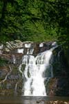 Laurel Falls in Dennis Cover, Picture 2