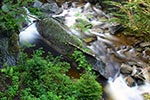 Mother Walker Falls in Grafton Notch State Park