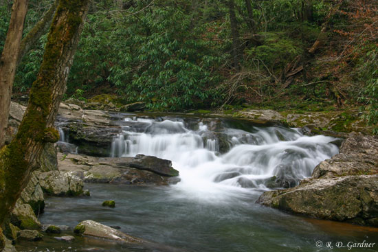 West Prong Falls in Great Smoky Mountain National Park