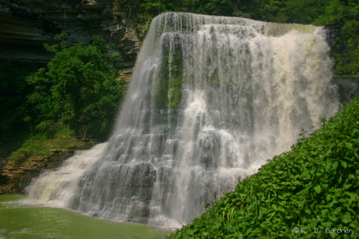 Picture of Burgess Falls