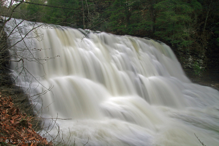 Picture of Cane Creek Cascades