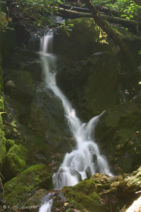 Small Waterfall below Coon Den Falls