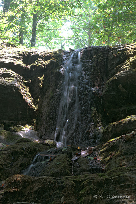 Hooker Falls in DuPont State Forest, NC