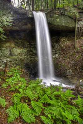 Davidson Falls