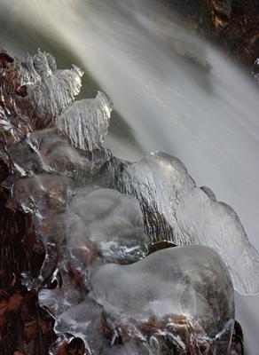 a detail from the lower falls of Dick's Creek