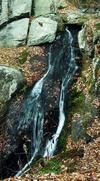 Waterfall Along Cambell Creek