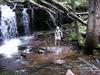 Upper Falls at Falls Hollow