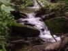 One of several cascades at Falls Hollow