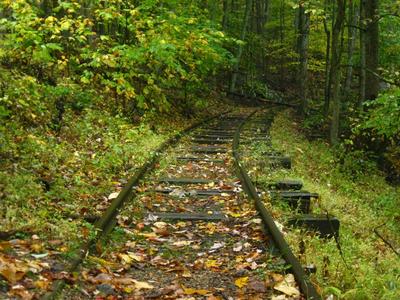 Lots of hidden tresures along the hike