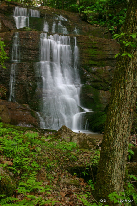 Picture of Bays Mountain Falls