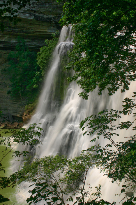 Picture of Burgess Falls