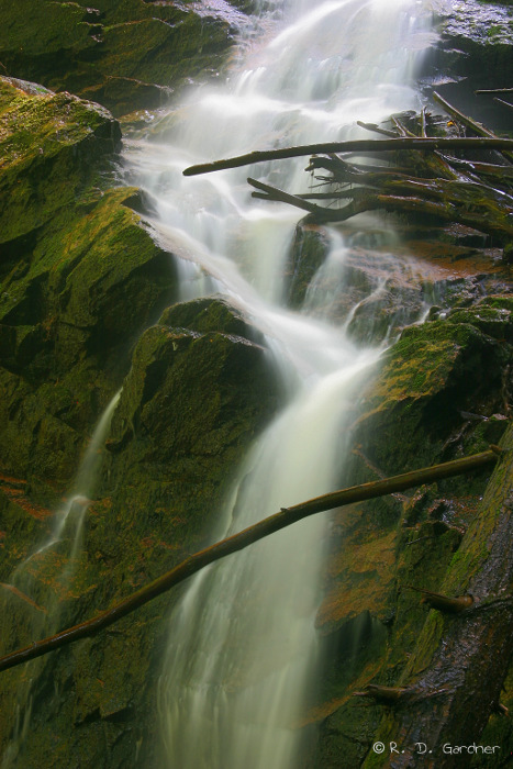 Coon Den Falls, Dennis Cove