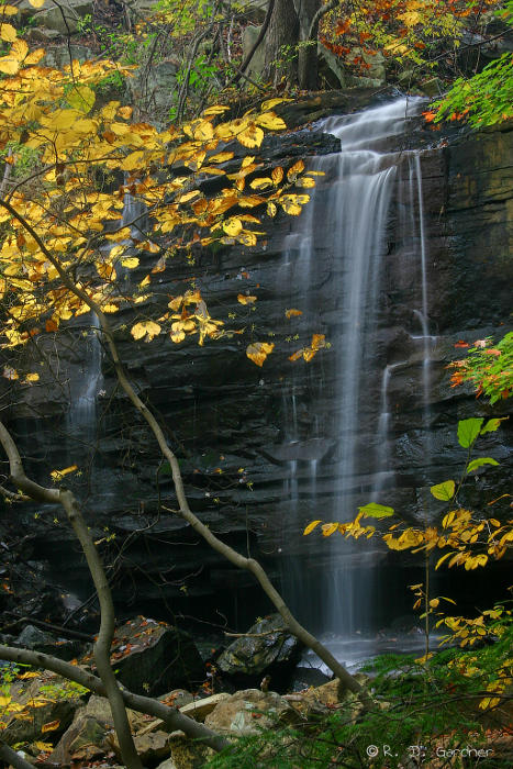 Dolan Branch Falls in October