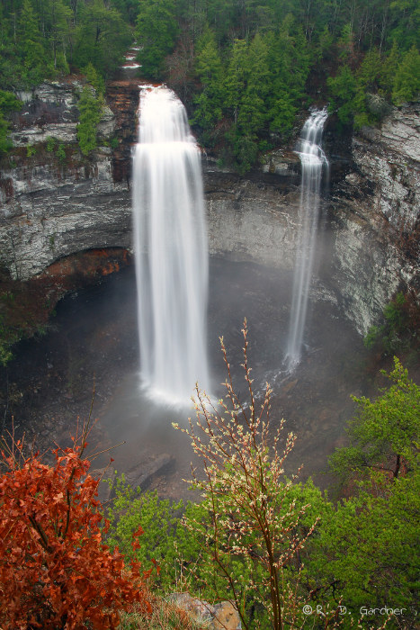 Fall Creek Falls, Fall Creek Falls State Park