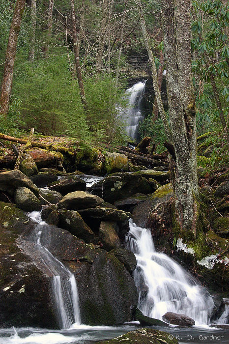 Mannis Branch Falls in the Great Smoky Mountain National Park
