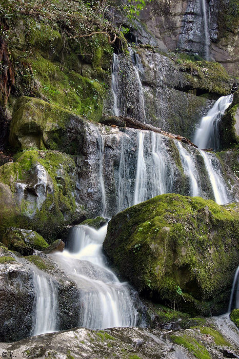 Place Of A Thousand Drips in the Great Smoky Mountain National Park