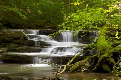 Cascades above Abram Falls