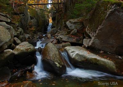 Baby Flume in Autumn