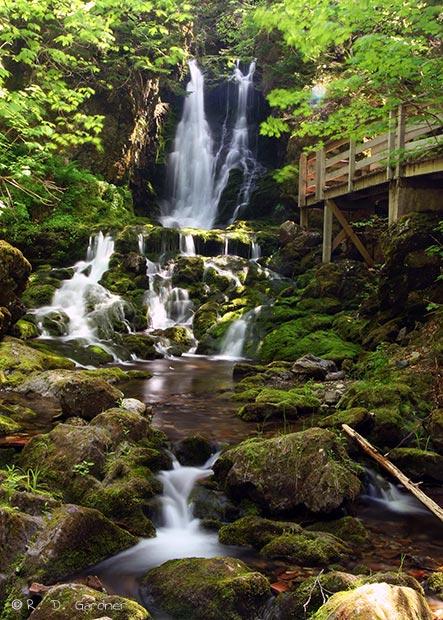 Dickson Falls and Trail