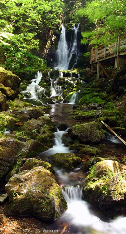 Dickson Falls Panoramic