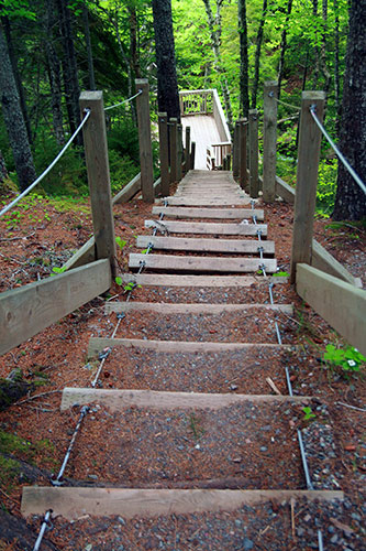 Stairs at Fuller Falls