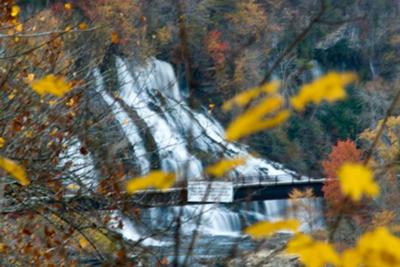 Twin Falls 80'