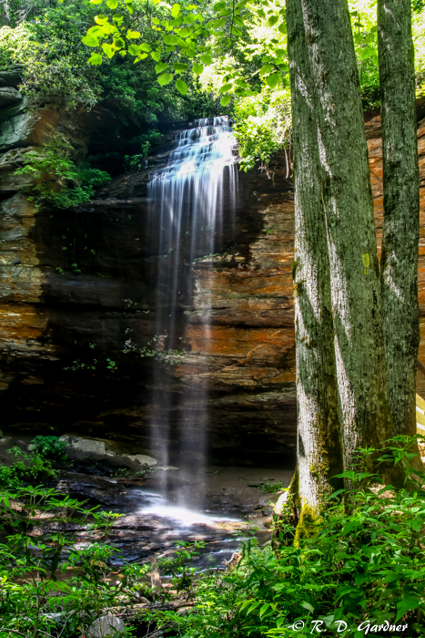 Moore Cove Falls near Brevard, NC