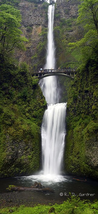 Multnomah Falls in the Columbia River Gorge, Oregon