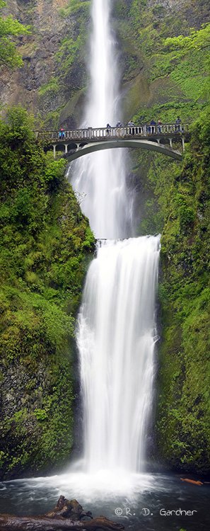 Multnomah Falls in the Columbia River Gorge, Oregon