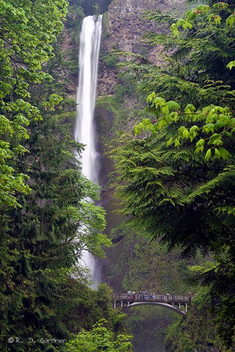 The upper portion of Multnomah Falls