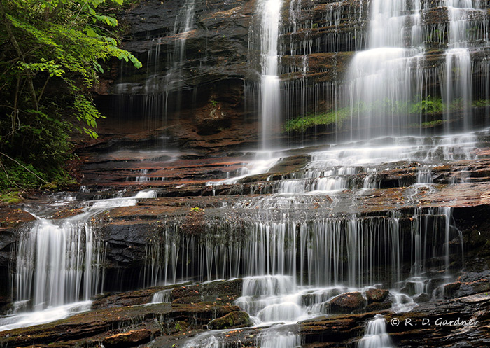 Closeup view of Pearson's Falls
